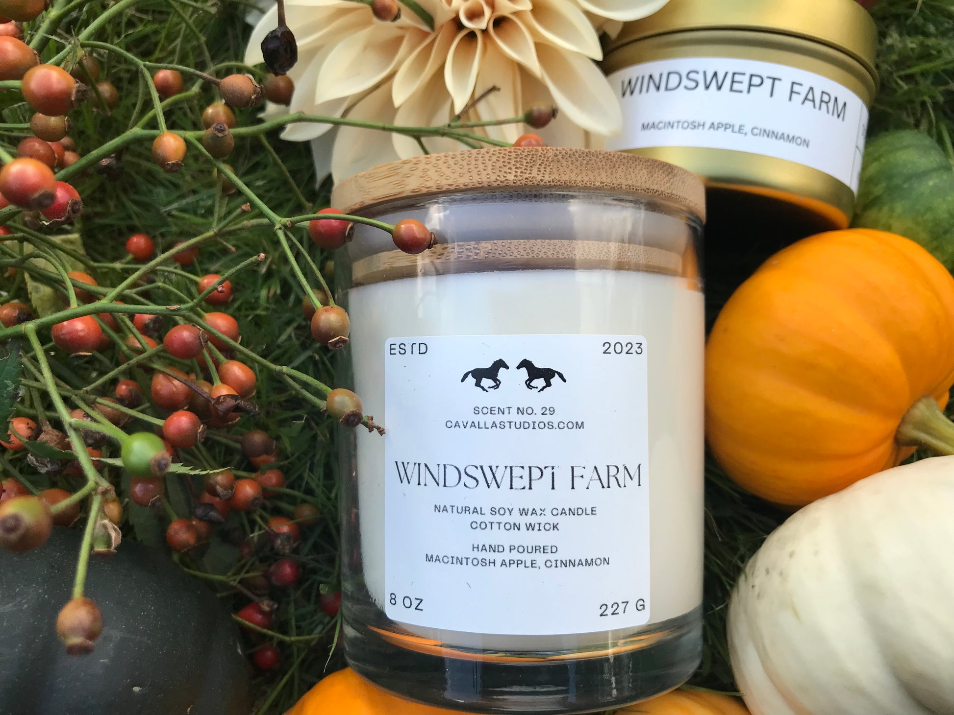 Classic white candle in a clear glass vessel covered by a bamboo lid. The glass features the 'Cavalla Studios' logo and the candle is labeled with the scent name 'Windswept Farm.' the candle is surrounded by rose hips, orange and white mini pumpkins and a pale blush Dahlia. 