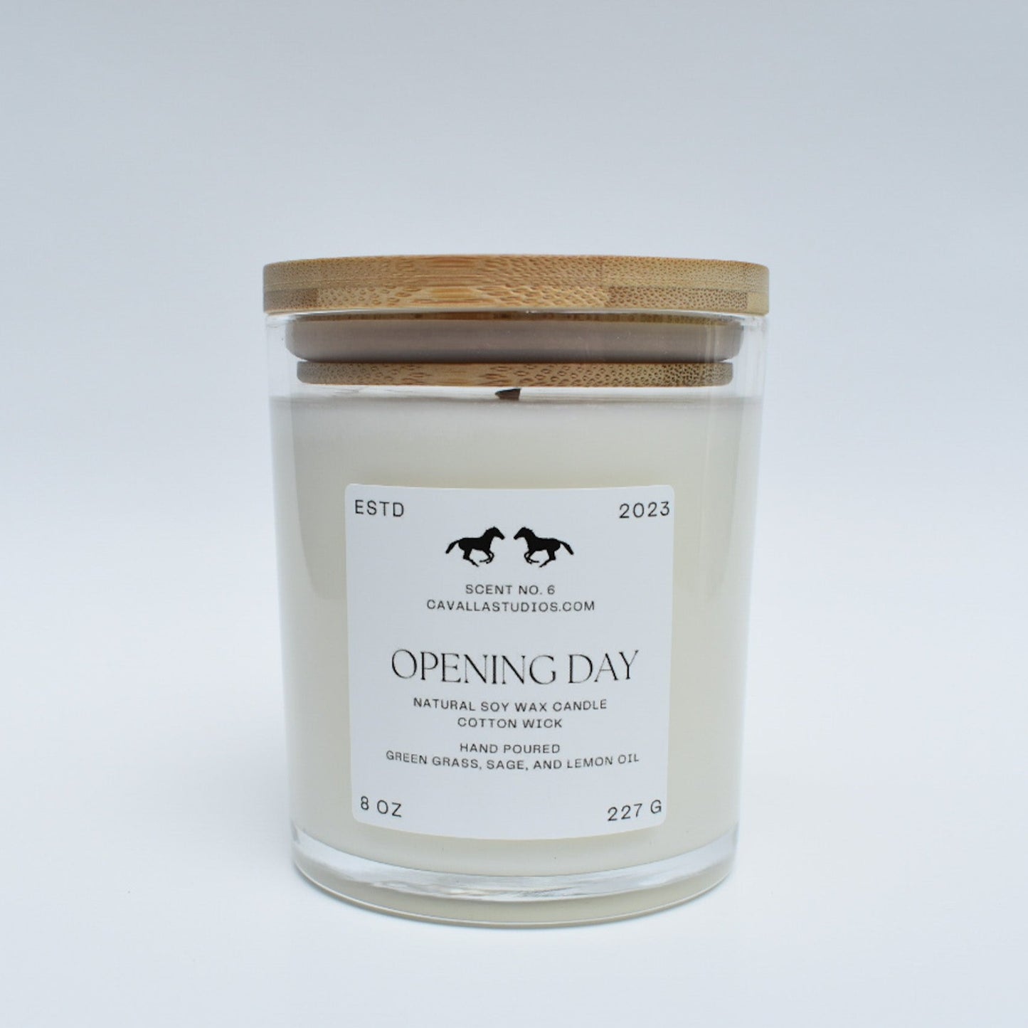 Opening Day Soy Classic Candle